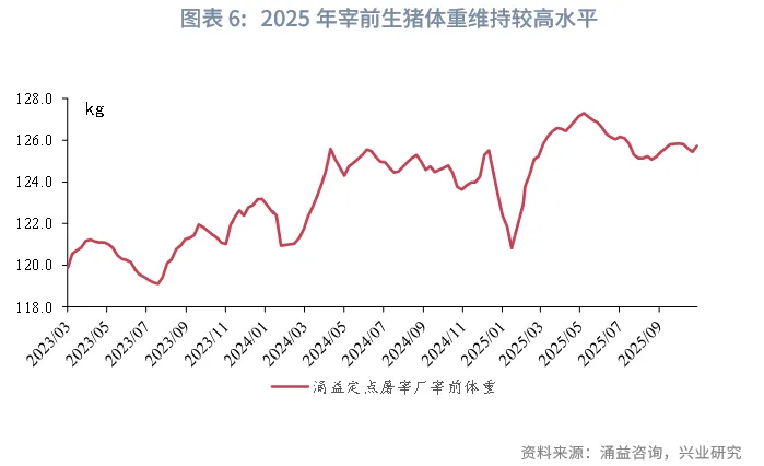 宏觀市場 | 豬週期：這次不一樣