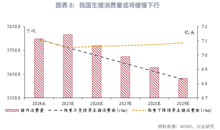 宏觀市場 | 豬週期：這次不一樣