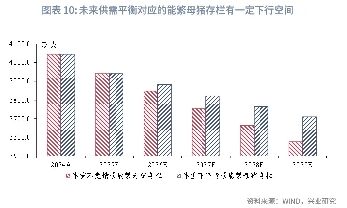 宏觀市場 | 豬週期：這次不一樣