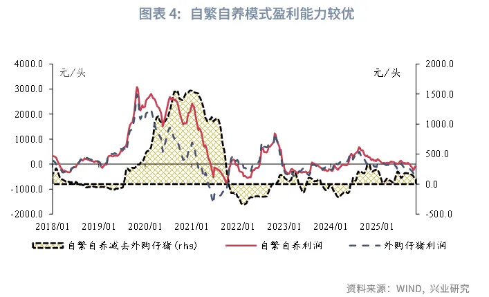 宏觀市場 | 豬週期：這次不一樣