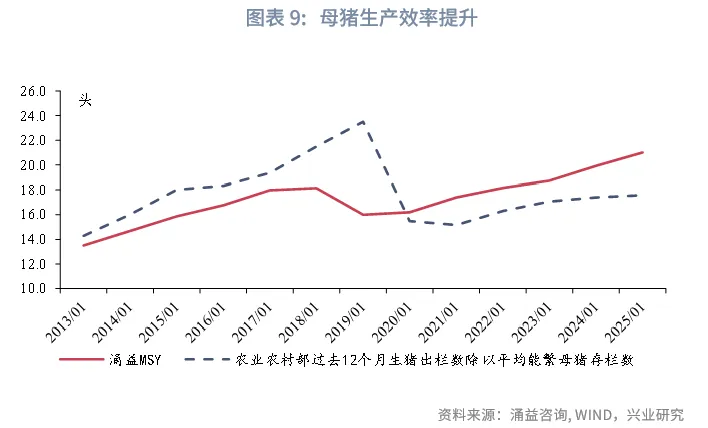 宏觀市場 | 豬週期：這次不一樣