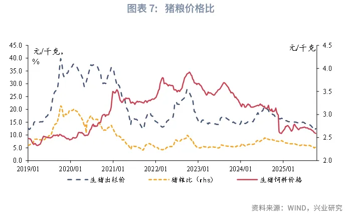 宏觀市場 | 豬週期：這次不一樣