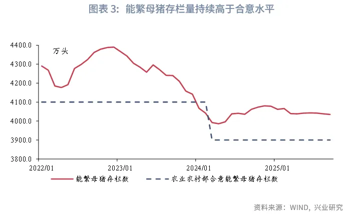 宏觀市場 | 豬週期：這次不一樣