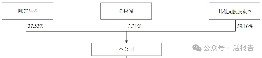 A股視頻橋接芯片龍頭「龍訊股份」首次遞表，衝刺香港上市