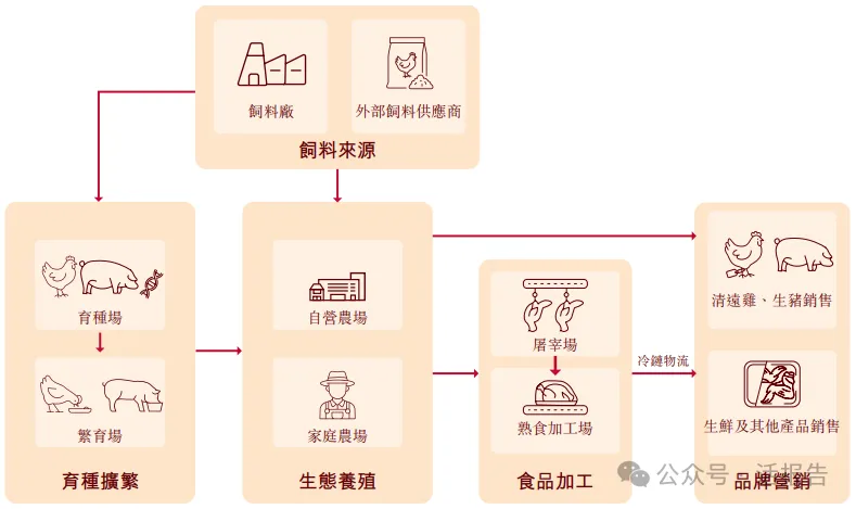 中國最大清遠雞提供商「天農集團」二次遞表，年收入超40億