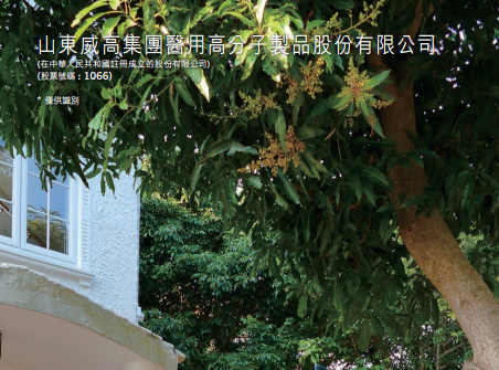 威高股份(01066.HK)：山东威高骨科于6月21日首次公开发售