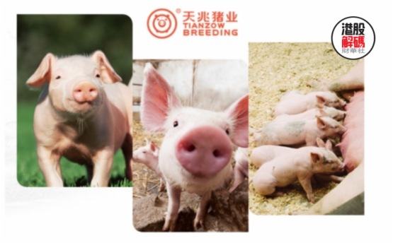 【IPO前哨】超級豬週期之下，天兆豬業赴港IPO，下一個牧原或溫氏？