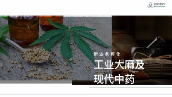 會議直擊 四環醫藥 具備天然區位優勢 打造工業大麻產業龍頭