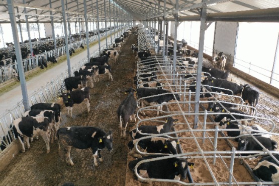 乳品行业高速发展　优然牧业（09858.HK）厚积薄发