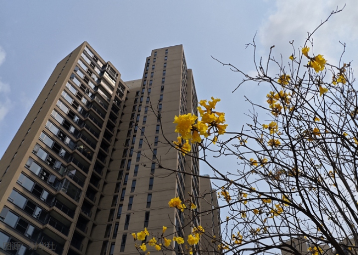 5月成交量轉弱，香港樓市仍缺動力